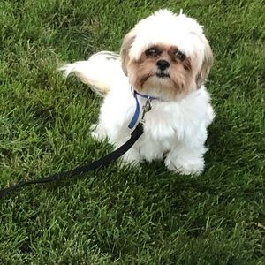 Meet your Posher, Mia